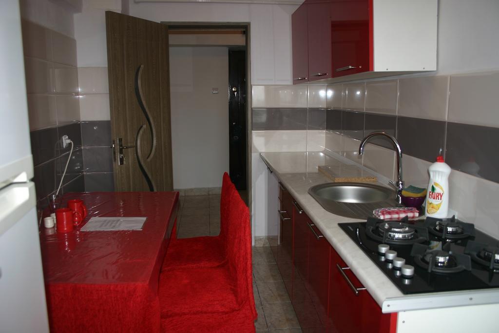 Salonul Rosu Apartman Bákó Kültér fotó